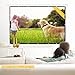 60-Inch outdoor Projector Screen Home Theater/Cinema or Presentation Platform - 16:9 Portable Tabletop Projector Screen - Suitable for HDTV/Sports/Movies/Presentations (60 inch)