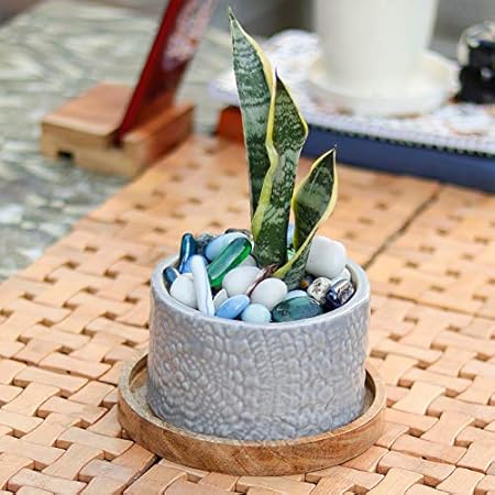 Lasaki Oxygen Small Ceramic Pots with Plate Wooden for Indoor , Outdoor, Home, Living Room, Hall, Balcony, Table, Office, Planters, Plants, Succulent Pot (Color: Grey , Plate Beach wp6 )