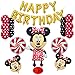 Minnie Mouse Birthday Party Supplies and Red Polka Dot 18 pc Balloon Decorations