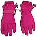 N'Ice Caps Kids Extreme Cold Weather 100 Gram Thinsulate Waterproof Ski Gloves