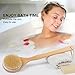 COOBA Dry Body Brushing Bath Brush Set Include Long Handle and Oval Shaped Handy Palm Body Brush 100% Natural Bristles Good for Health and Beauty