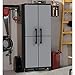 2 Door Storage Cabinet, Finish: Black and gray