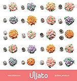 Russian Piping Tips | Premium 36 Piece Set | Professional Cake and Cupcake Decorating Nozzles | Fancy Designs and Easy Clean up