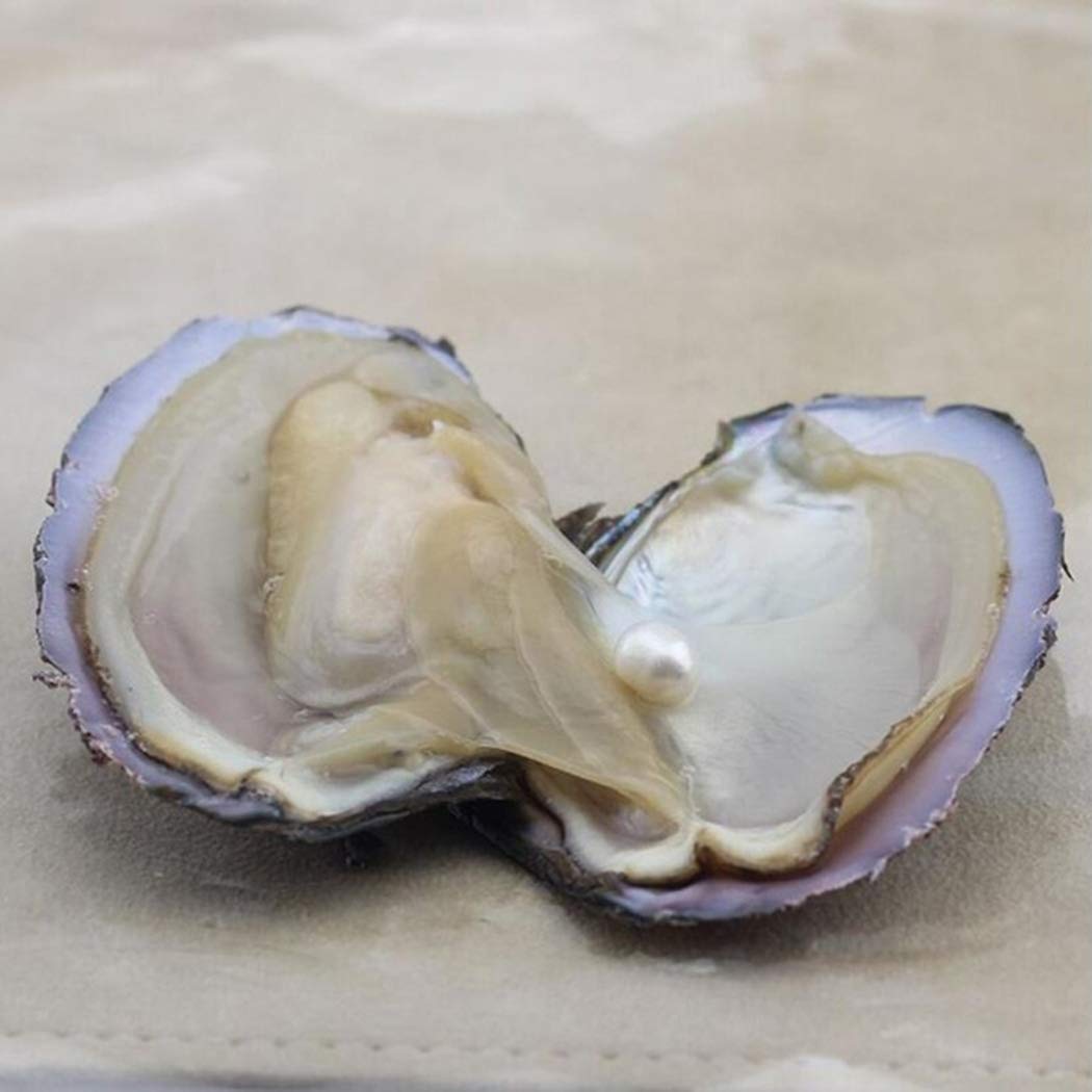 6 psc Vacuum Packaging Mussel Oyster Drop Pearl Pendant Pearls (White)