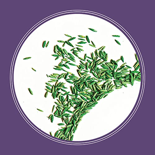 PENNINGTON SMART SEED DENSE SHADE GRASS MIX 3 LB