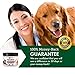 Wangou Pawesome Hemp Calming Treats for Dogs - 120 Soft Chews - Made in USA with Hemp Oil - Dog Anxiety Relief - Natural Separation Aid - Stress Relief - Fireworks - Storms - Aggressive Behavior - Barking