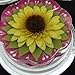 Gelatin Art Bottle - 3d Jelly Cake Bottle 3pcs Needle Bottle 100ml Empty Bottle