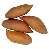 Sweet Potato