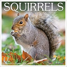 2022 Squirrel Calendar Squirrels 2022 Wall Calendar: Willow Creek Press: 9781549219726:  Amazon.com: Books