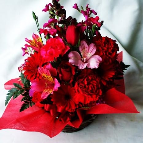 Amazon 季節のお花おまかせフラワーアレンジメントb 赤系 誕生日 お祝い 花の産地千葉県館山から フラワーアレンジメント オンライン通販 Amazon 季節のお花おまかせフラワーアレンジメントb 赤系 誕生日 お祝い 花の産地千葉県館山から フラワーアレンジメント オンライン通販