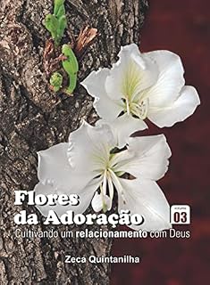 Livro Flores da Adoração: Cultivando um Relacionamento com Deus