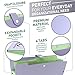 Accordion Folder Expanding File Organizer | File Folders Organizer for Paper with 5 Pockets Plastic File Folders Filing Organizer by Lizz Express