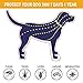 Fedciory Flea and Tick Prevention Collar for Dogs 1 Year Protection Control Safe & Hypoallergenic & Waterproof & Adjustable Size 25 Inches Fits Most Dog 1 Packthumb 3