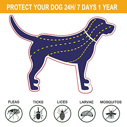 Flea and Tick Prevention Collar for Dogs 1 Year Protection Control Safe & Hypoallergenic & Waterproof & Adjustable Size 25 Inches Fits Most Dog - Thumbnail 3