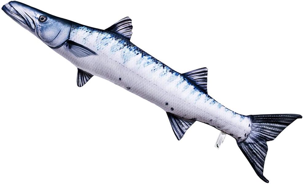 28+ Barracuda Fisch Größe PNG