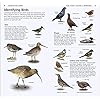 RSPB-Whats-that-Bird-The-Simplest-ID-Guide-EverPaperback--19-Jan-2012 RSPB What's that Bird?: The Simplest ID Guide Ever