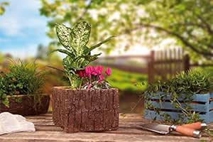 Maceta Maceta Macetero Tronco de árbol óptica Madera Kaika Jamila emb