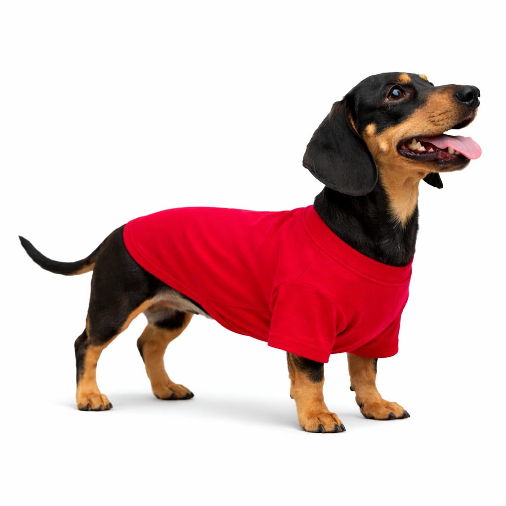 Lovelonglong Pet Clothing Dog Costumes Dachshund Clothes Blank T-Shirt Tee Shirts for Dachshund Dogs,Corgi 100% Cotton Red D-L