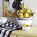 Decorative Bathtub Containers White Enamel Distressed Soap Dish Holder Succulent Planter (Set of 2) by RAZ Imports