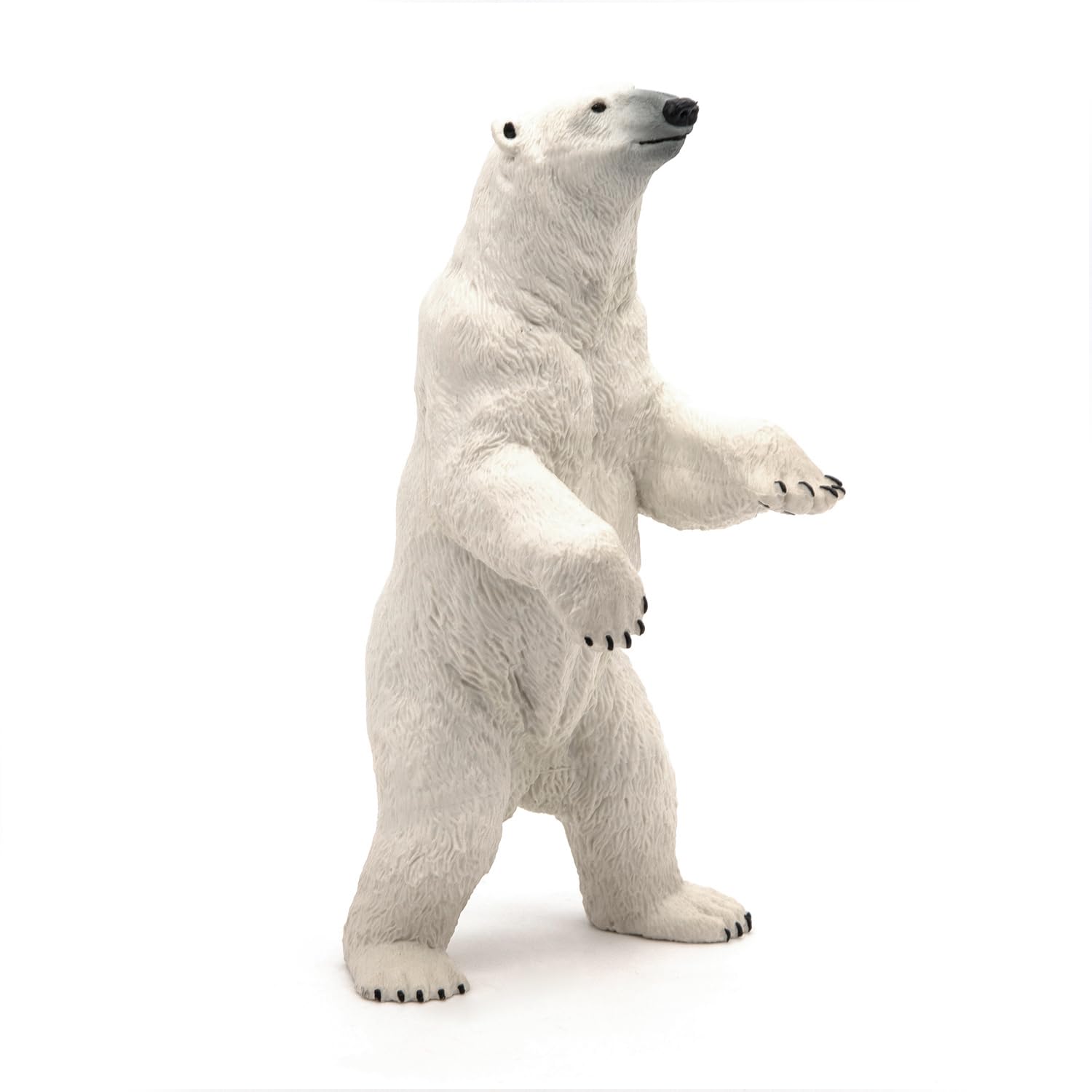 Papo - Realistic Standing Polar Bear Figure Toy for Kids - Ages 3+ - Wild Life Collection - Educational Play Arctic World - Gift Idea Toy for Girls and Boys - 7 Cm X 7 Cm X 14 Cm