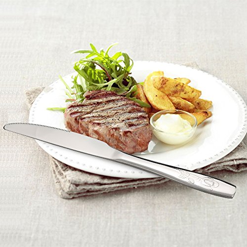 Flatware Dinner Knives, 12-Piece Stainless Steel Table Knives (Eagrye) - Thumbnail 4