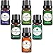 Vena Beauty 100% Pure Aromatherapy Essential Oil Set of 6, Therapeutic Grade