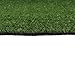 VerdeCasa Realistic Artificial Grass Rug Indoor/Outdoor Decorative Synthetic Grass Turf 0.39