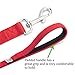 Dog Leash for Medium, Large and Small Dogs - 6 Foot Dog Leashes for Training and Daily Walks - Durable Sizes in Lightweight and Heavy Duty for Small and Large Breeds (2-Layer, Red)