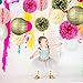 SUNBEAUTY Tissue Paper Pom Pom Flowers Paper Lanterns Wedding Birthday Party Decorations 12pcs