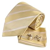 YAC1A08 Classic Mens Multi-colored Silk Necktie Wedding Gift 3PT By Y&G