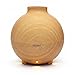 Paxamo 600ml Ultrasonic Oil Diffuser, High Capacity Globe Diffuser, Premium Therapy Air Freshener, Working Overnight for Large Room