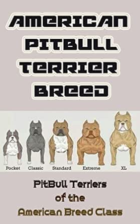 buy american pitbull terrier