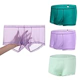 JINSHI Ice Silk Mens Sexy Underwear For Play