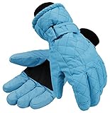 Livingston Women's Thinsulate Lining Sports Waterproof Ski / Snowboarding Gloves