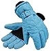 Livingston Women's Thinsulate Insulation Sports Waterproof Ski/Snowboarding Gloves