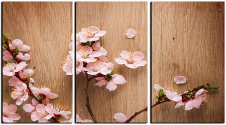 Pink Sakura flower canvas print, pink flower canvas designs, 3 panel print, wall art