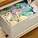MEÉLIFE Foldable Fabric Underwear Organizer Bras Storage Box,Clothes Storage Drawer Basket Bins Containers with Lids Divider for Apparel Garments Socks Ties Scarves (Light Green)