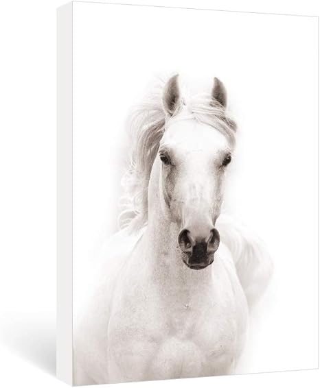 black and white framed horse pictures