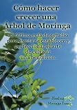 Image de Como hacer crecer una Arbol de Moringa: La última guía de estudio para ayudar a establecer y perfeccionar el arte de cultivar una bendición. (Span