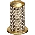 TeeJet 4193A-5-50SS TeeJet Check Valve - Brass
