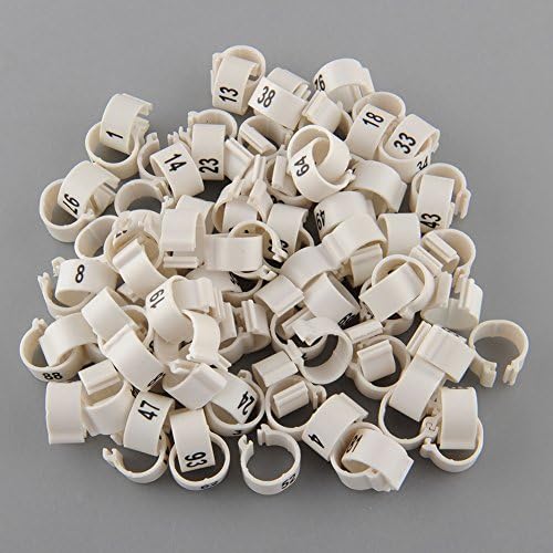 100 Numbered Chicken Leg Bands (white) 444
