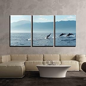 3 Piece Canvas Wall Art - Dolphins in Pacific Ocean at Sunrise. Bali, Indonesia - Modern Home Art Stretched and Framed Ready to Hang - 16"x24"x3 Panels