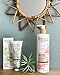 Mademoiselle Provence Organic Almond Ultra-Rich Hand Cream with Orange Blossom Extracts, Dry Sensitive Skin Shea Butter Natural Vegan Hand Moisturizing Lotion, Dermatologist Tested 2.5 fl oz