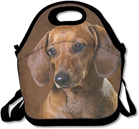 Tactful Dachshund Novelty Lunch Tote Bags Insulated Waterproof Lunch Box Food Picnic Bags For Adults,Men,Women,Kids
