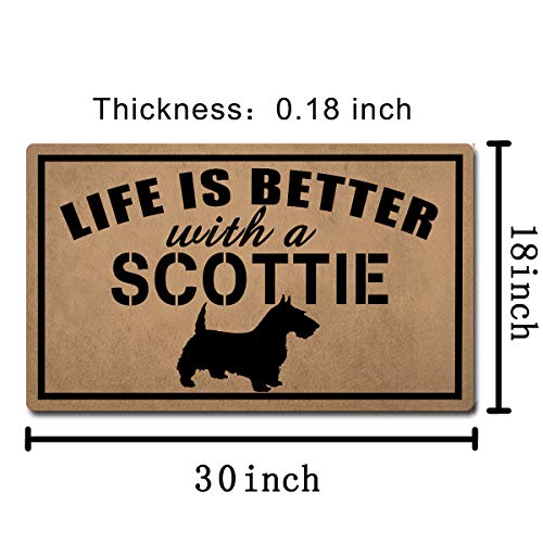 Welcome-Matte, lustige Fußmatte, rutschfest, für den Eingangsbereich