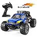 RC Car,1:18 Remote Control High-Speed Telecar,Offroad 2.4Ghz 2WD Remote Control Monster Truck,Gift for Kids and Adults