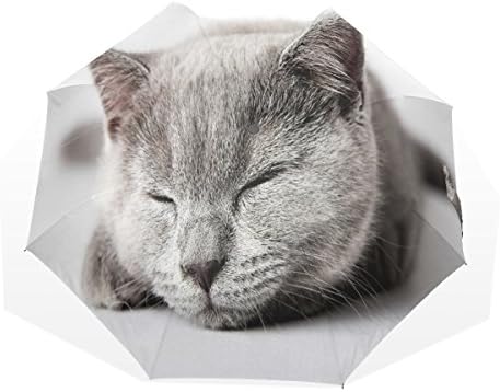 BYouLockX Lovely Cat Rain Umbrella for Windproof & UV protection