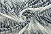 CaliTime Super Soft Throw Blanket for Bed Sofa Couch, Cozy Warm Flannel Fleece Black & White Carved Zebra Stripes, Queen