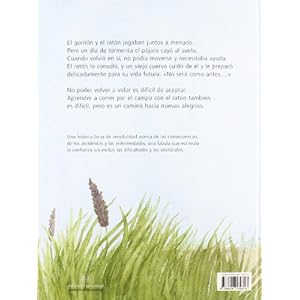 Corre, pequeño gorrión / Run, little sparrow (Spanish Edition)