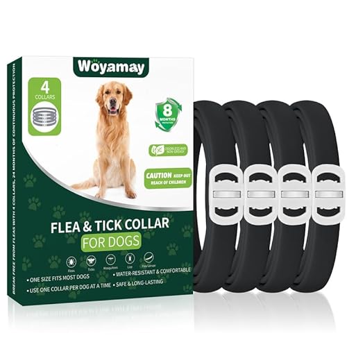 Amazon Flea And Tick Control Collars For Dogs Pack Flea Collar For